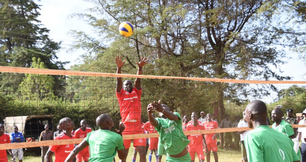 volleyball